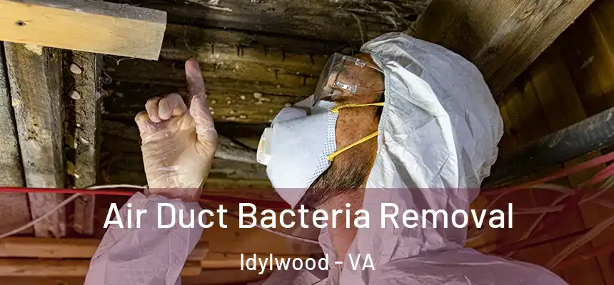  Air Duct Bacteria Removal Idylwood - VA