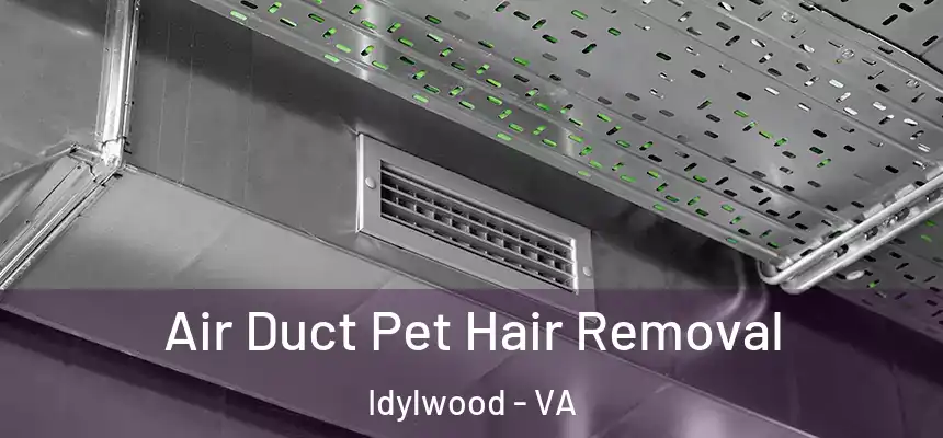 Air Duct Pet Hair Removal Idylwood - VA