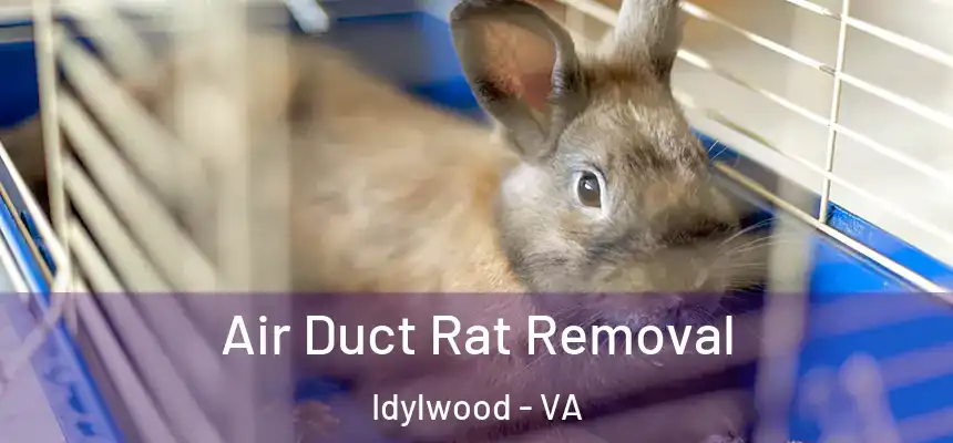  Air Duct Rat Removal Idylwood - VA