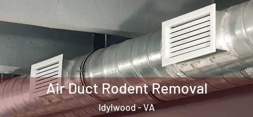 Air Duct Rodent Removal Idylwood - VA