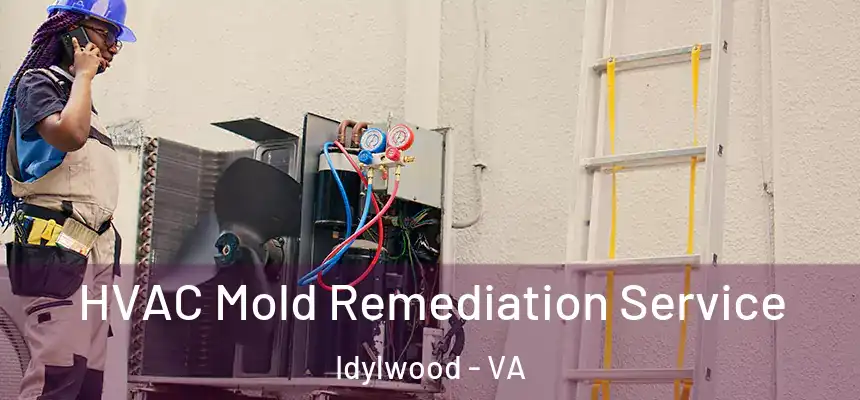  HVAC Mold Remediation Service Idylwood - VA