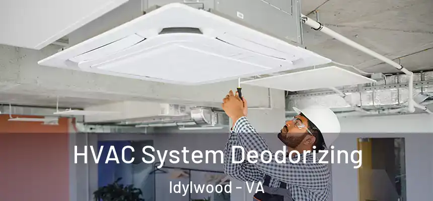 HVAC System Deodorizing Idylwood - VA