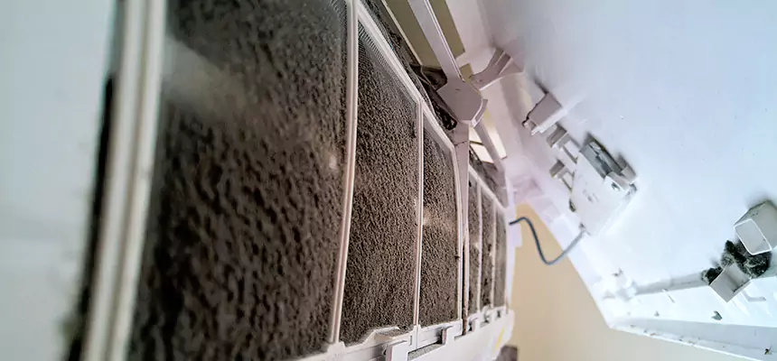 Preventive Air Duct Bacteria Removal in Idylwood