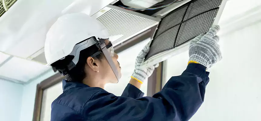 Our Mold & Mildew Removal from Air Ducts Services in Idylwood, VA