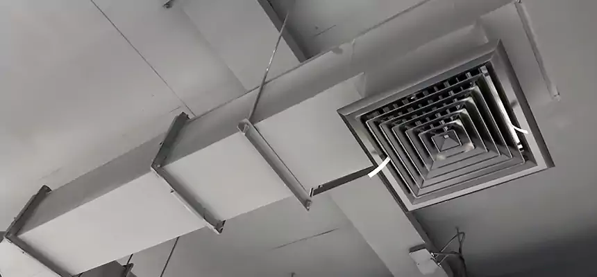 Our Rodent Droppings In Vents Services in Idylwood, VA