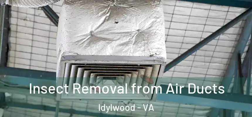 Insect Removal from Air Ducts Idylwood - VA