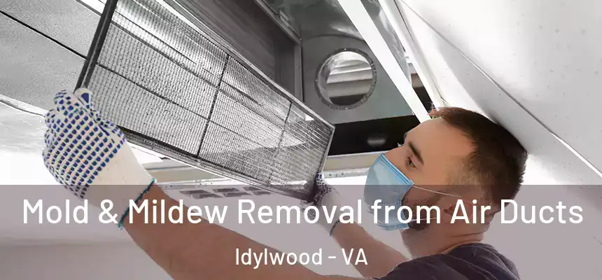  Mold & Mildew Removal from Air Ducts Idylwood - VA
