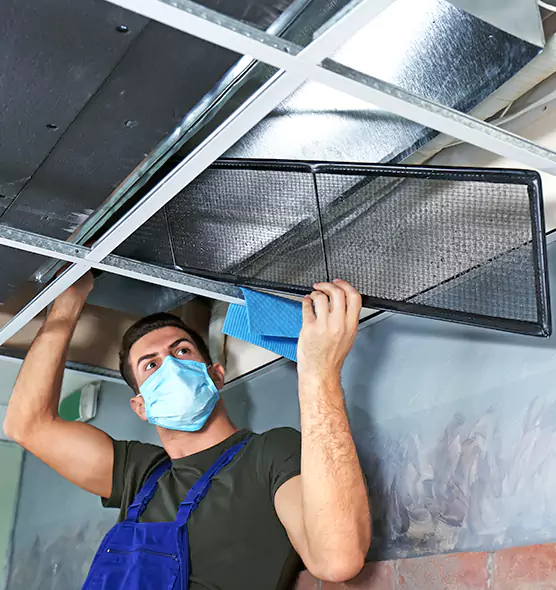 About Air Duct Bacteria Removal in Idylwood