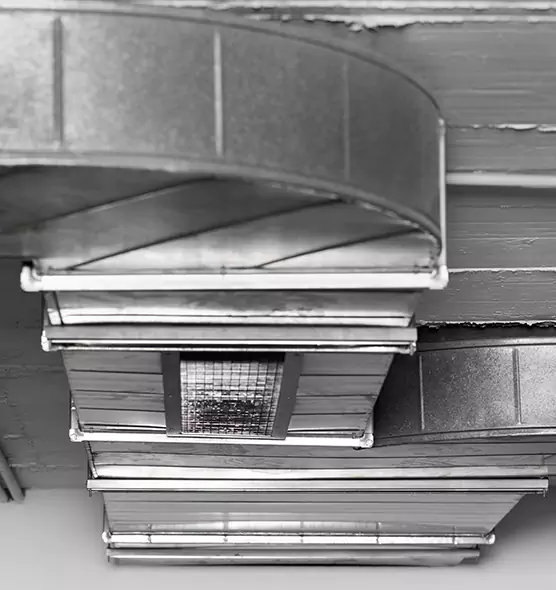 Professional Air Duct Pet Hair Removal in Idylwood, VA