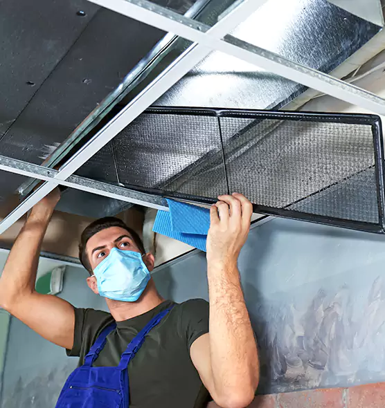 Professional Air Duct Pollen Cleaning in Idylwood, VA