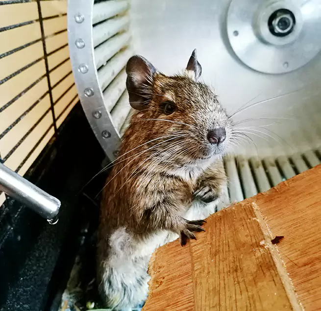 Why Homeowners & Businesses Trust Us Idylwood, VA